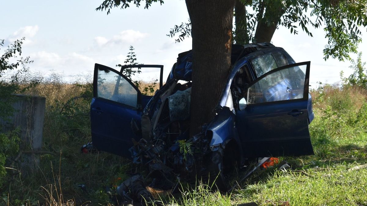 Řidič osobního auta u Prahy nepřežil náraz do stromu